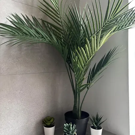 Le Repos Urbain * Strasbourg