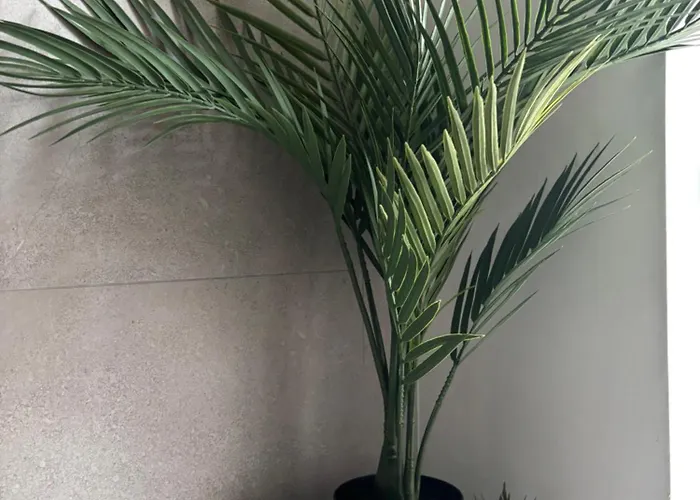 Le Repos Urbain * Strasbourg